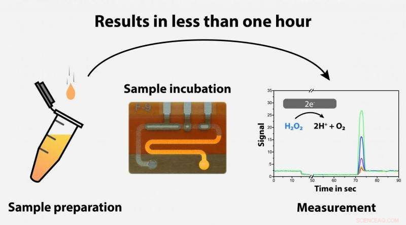 Biosensors Promise Personalized Antibiotherapy: Clinical Trials Highlight Future of Targeted Treatments