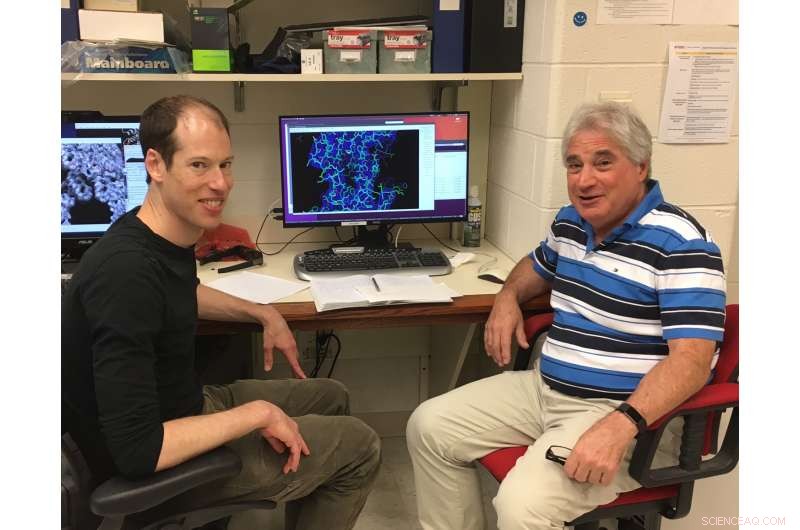 Indestructible Virus Reveals Blueprint for Ultra-Durable Materials