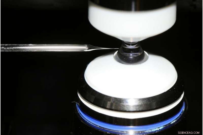 3D Imaging Reveals Surface Chemistry Inside Confined Environments