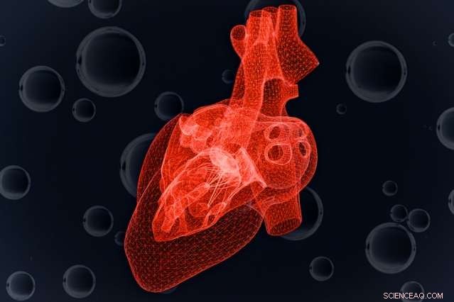 Study Models How Heart Cells React to Oxygen Deprivation