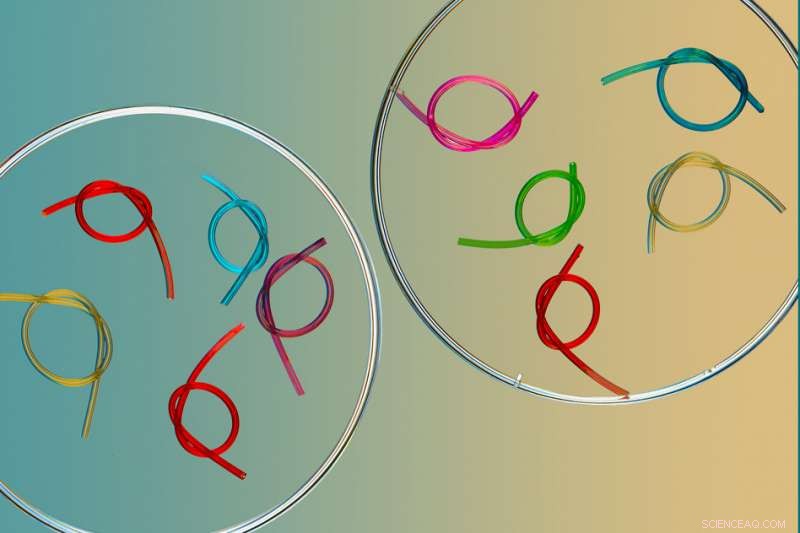 Innovative Gel Coatings Promise Improved Comfort for Catheters and Condoms