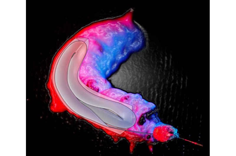 Tiny Silk Cocoons: A Breakthrough in Biotechnology and Medicine