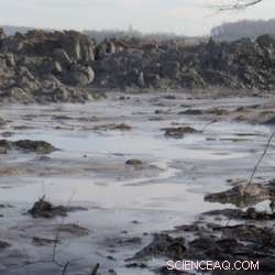 Genetically Modified Yeast Effectively Sequesters Heavy Metals from Contaminated Sites