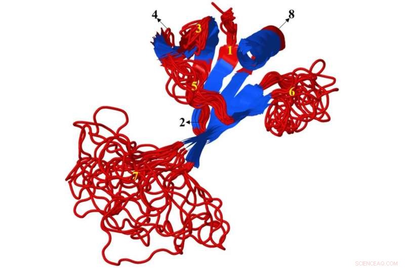 How Bioinformatics Tools Unlock the Secrets of Intrinsically Disordered Proteins