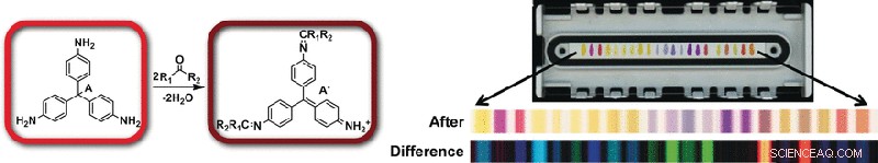 Colorimetric Detection of Aldehydes and Ketones for Scotch Flavor Profiling