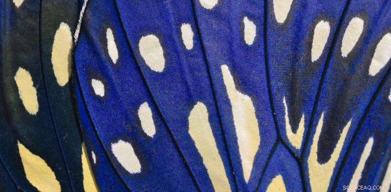 Scientists Create New Colours Through Structural Innovation