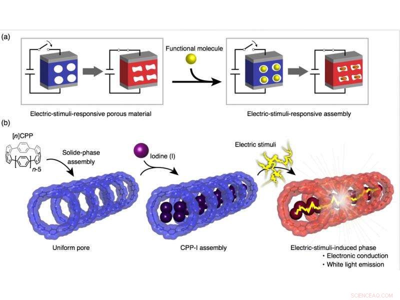 Innovative Carbon Nanoring Material Emits Bright White Light Under Electrical Stimulus