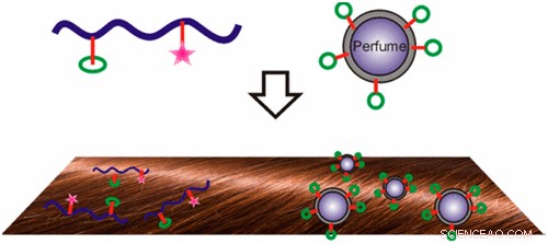Peptide-Infused Shampoo Keeps Your Hair Smelling Longer