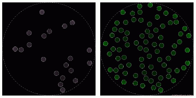 Synthetic Materials That Count and Sense Their Size: Breakthrough Research Unveiled
