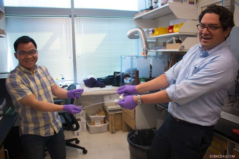 Innovative Hydrogel Capsules Expand in the GI Tract, Sustained Medication Release Over Days