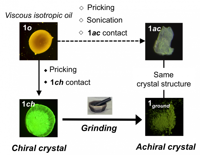 Innovative Approach to Engineering Mechano‑Responsive Luminescent Gold Complexes