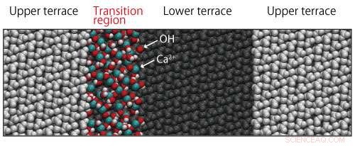 Fast FM‑AFM and Simulations Uncover Atomistic Dissolution of Calcite in Water