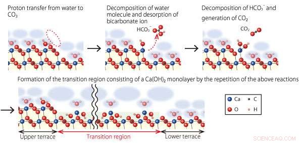 Fast FM‑AFM and Simulations Uncover Atomistic Dissolution of Calcite in Water