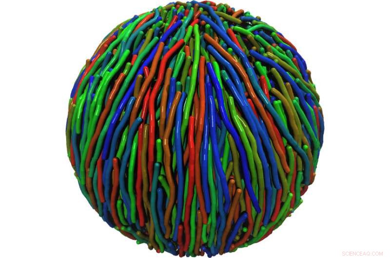 New Insights into Nanosystems Confined Spherically, Unveiled by German Physicists