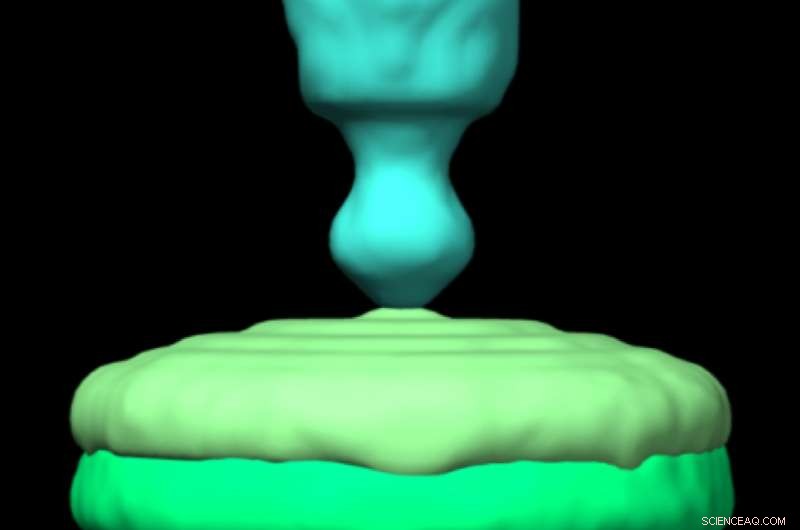 Rice University Deciphers Complete Structure of Salmon Anemia Virus Protein