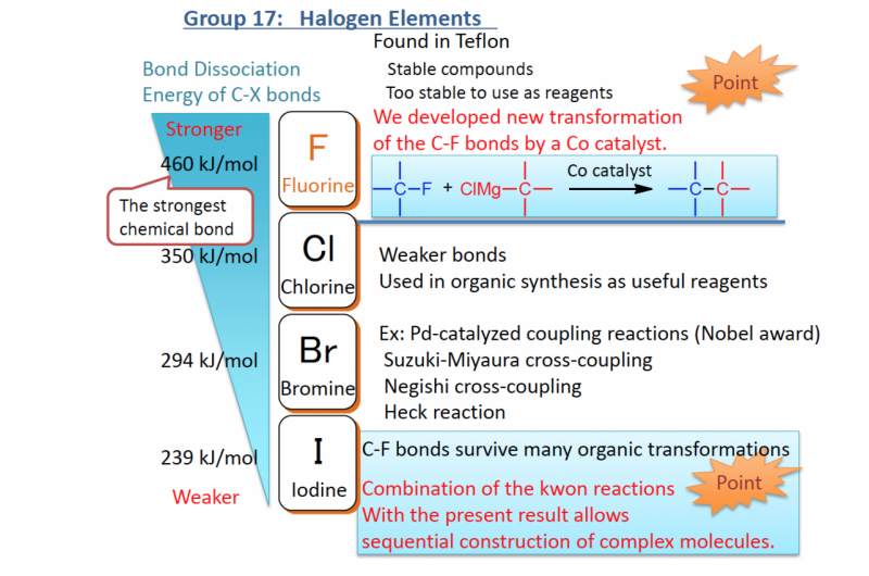Chemists Innovate New Structures by Activating Inert Bonds