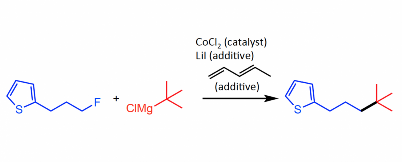 Chemists Innovate New Structures by Activating Inert Bonds