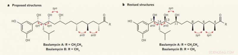Bristol Chemists Unveil Accurate Structures of Baulaquinone A & B