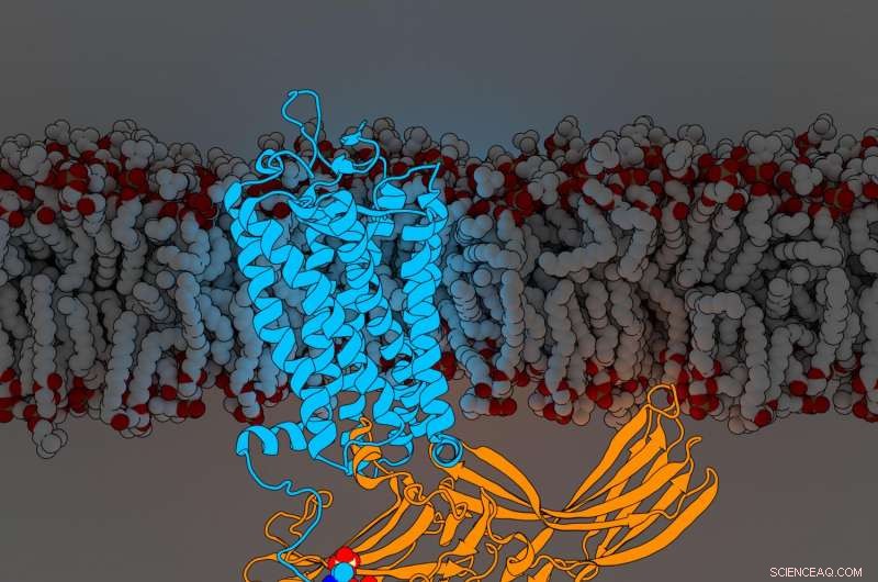 Unlocking Therapeutic Potential: Molecular Code Regulation of a Key Drug Target
