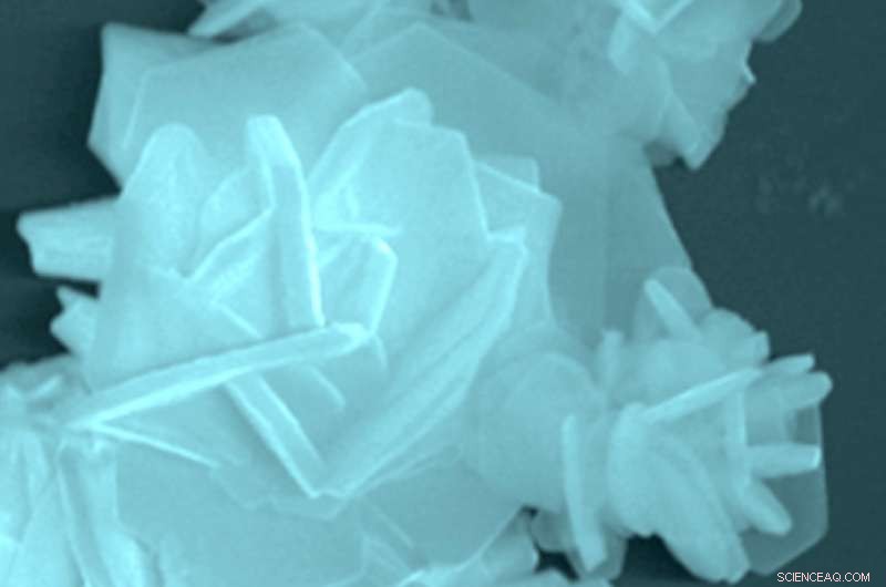 Bubbles Drive Self-Optimizing Electrocatalysts for Efficient Hydrogen Production