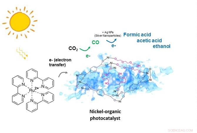 Light-Activated Catalyst Captures CO₂ to Produce Fuel-Grade Carbon Monoxide