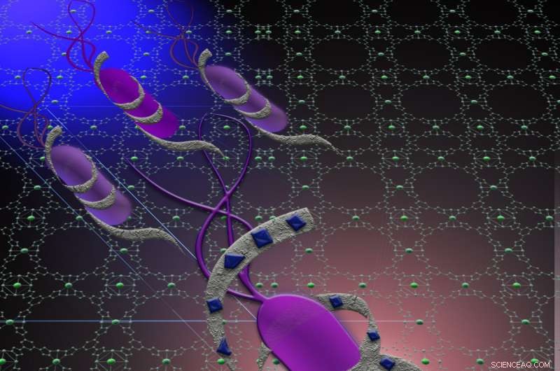 Eliminating Bacterial Biofilms: A Breakthrough Anti-Resistance Strategy