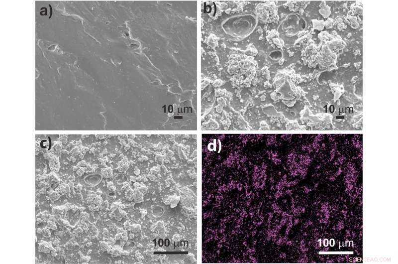 Eliminating Bacterial Biofilms: A Breakthrough Anti-Resistance Strategy