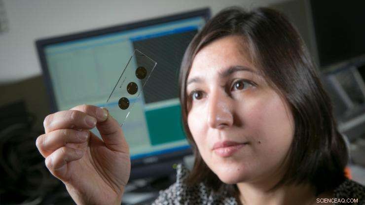 Duke‑Licensed Diagnostic Platform Aims to Expand Biomarker Detection for Disease