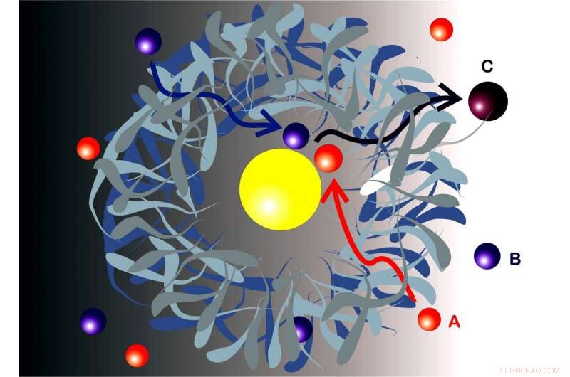 Advanced Mathematical Model Enhances Bimolecular Reaction Control in Nanoreactors