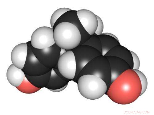 Rapid, Cost‑Effective Catalysts Eliminate Over 99% of BPA from Water