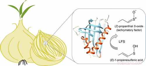 The Science of Onion-Induced Tears: How Onions Make You Cry