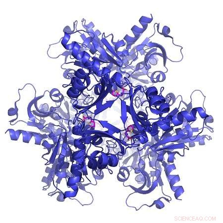 Innovative Screening Method Accelerates Discovery of Novel Drugs