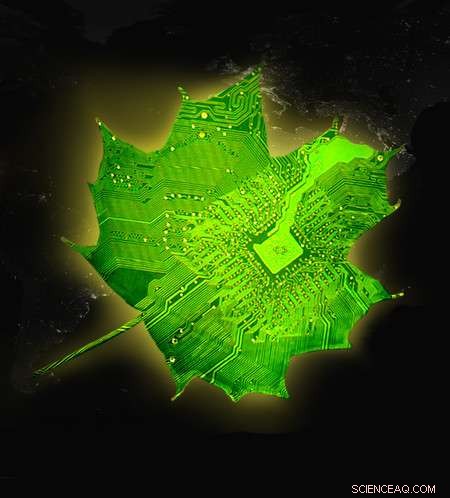 Innovative Additive Enhances Selective Conversion of CO₂ into Multicarbon Fuels