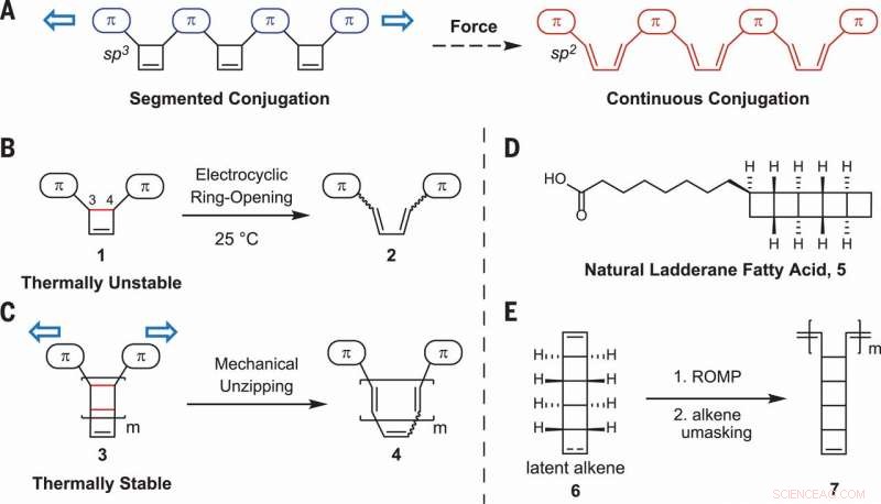 Ultrasonic Vibrations Transform Polymer into High‑Performance Semiconductor