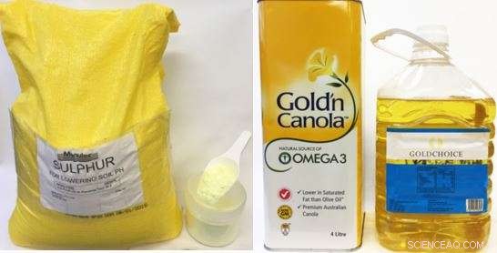 Scientists Turn Waste Cooking Oil into Mercury Clean‑Up Technology