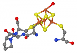 University of Georgia Discovers Novel Iron‑Storage Protein in Microbes