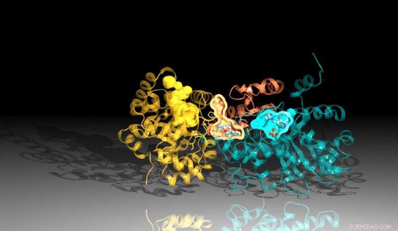 Innovative Molecule Blocks Tuberculosis Protein, Promising New Treatment