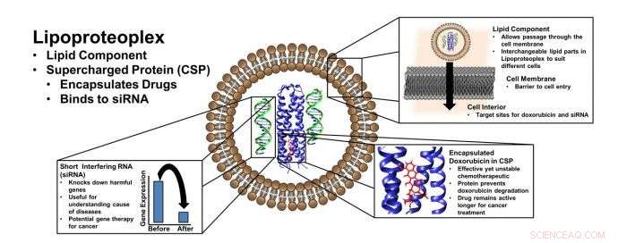 Novel Biomaterial Simultaneously Delivers Potent Chemotherapy and Gene-Silencing Agents