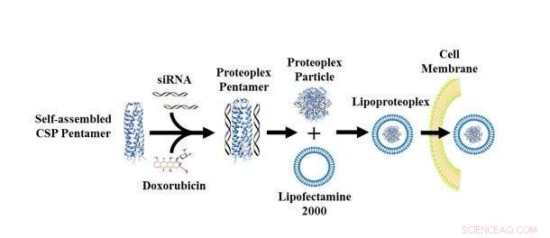 Novel Biomaterial Simultaneously Delivers Potent Chemotherapy and Gene-Silencing Agents