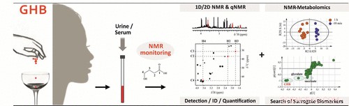 Enhancing Detection of the Date Rape Drug GHB: New Scientific Advances