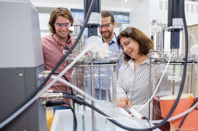 How a Tiny Fungus Fuels a High-Impact Startup