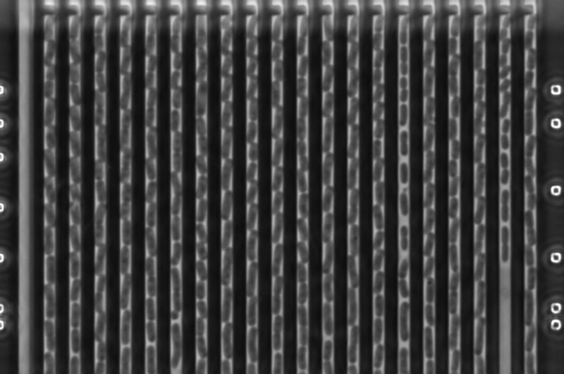 Rapid Ultra-Fast Technique for Detecting Antibiotic Resistance Developed by Uppsala University Researchers