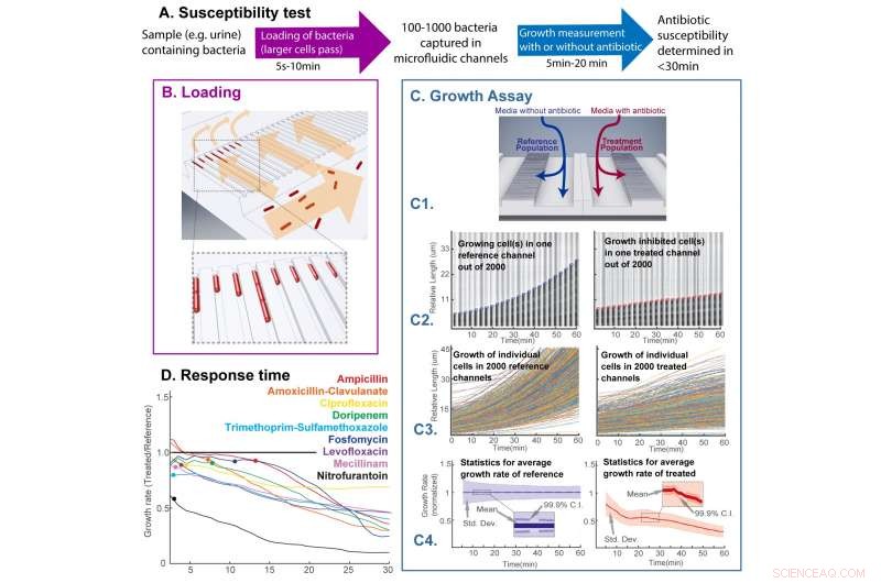 Rapid Ultra-Fast Technique for Detecting Antibiotic Resistance Developed by Uppsala University Researchers