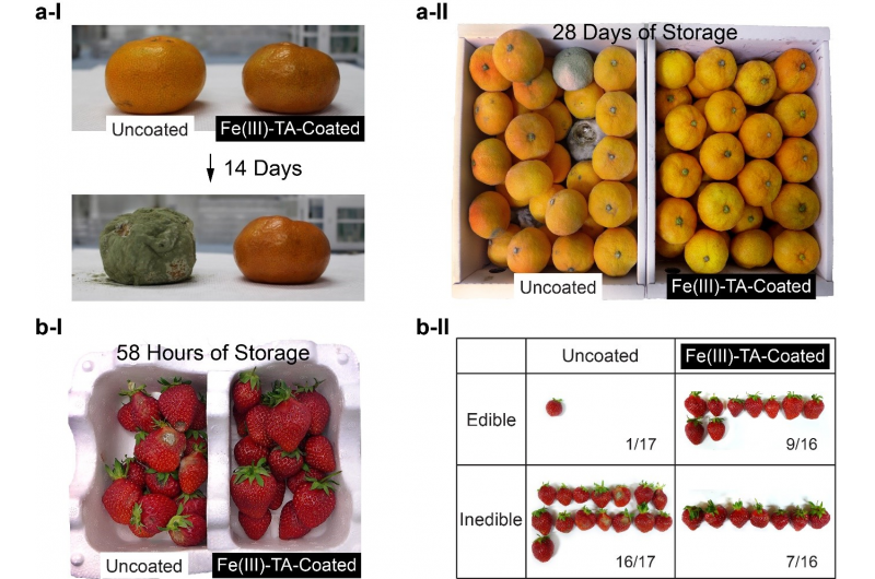 Universal Nanocoating Spray Boosts Produce Shelf Life with Antimicrobial Protection