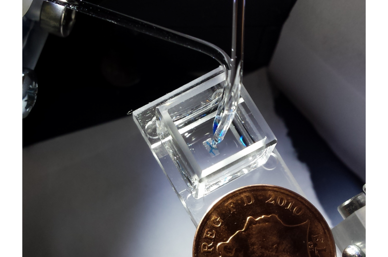 Oxford Team Unveils Innovative 3‑D Bioprinter for Living Tissue Construction