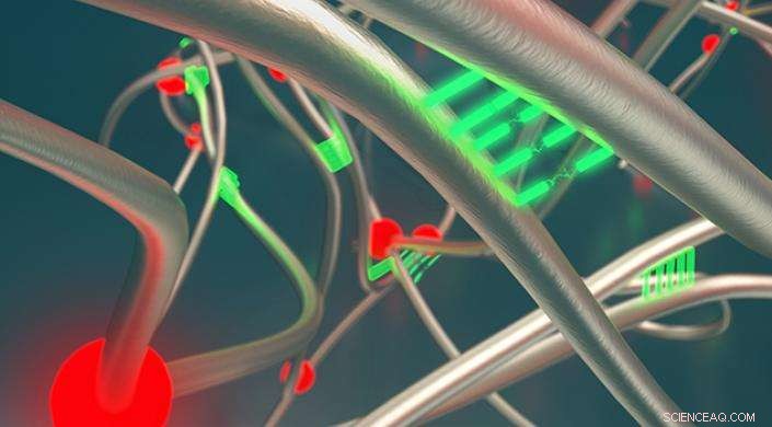 Scientists Unveil Durable, Self-Healing Rubber That Reforms After Damage