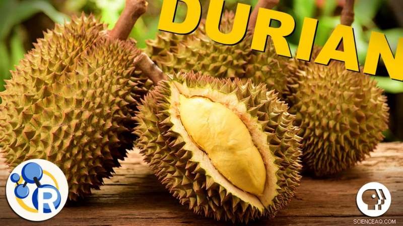 Durian: The Smelly King of Fruits – An In-Depth Video Analysis