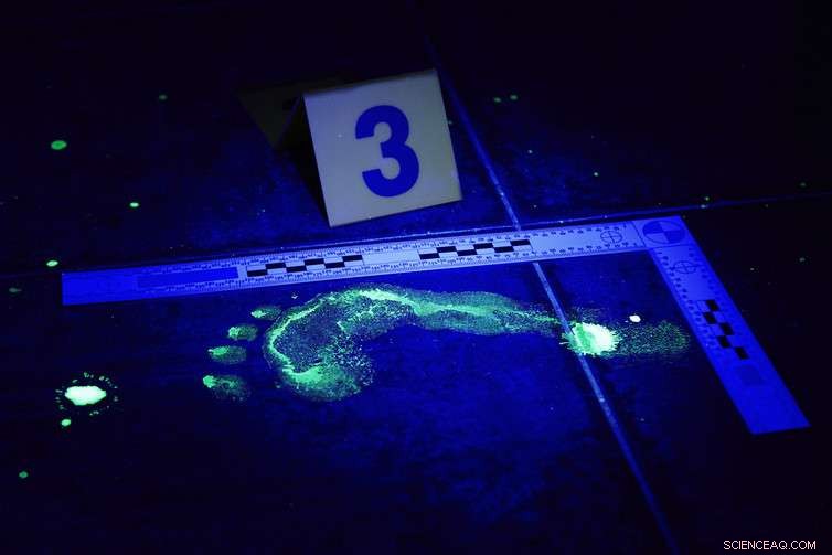 Scientific Evidence Confirms Blood-Detection Dogs Effectively Trace Crime Scenes and Locate Missing Persons