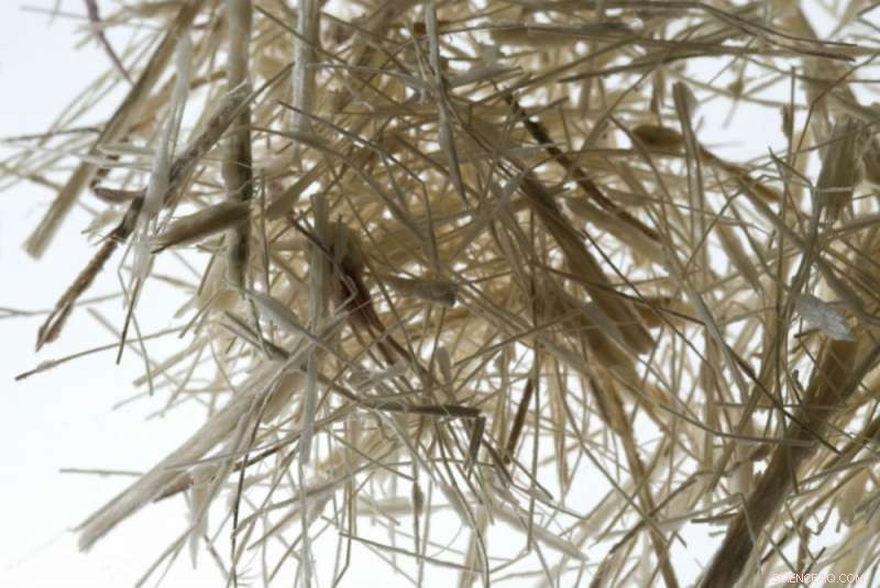 Turning Agroindustrial Waste into Sustainable Building Materials