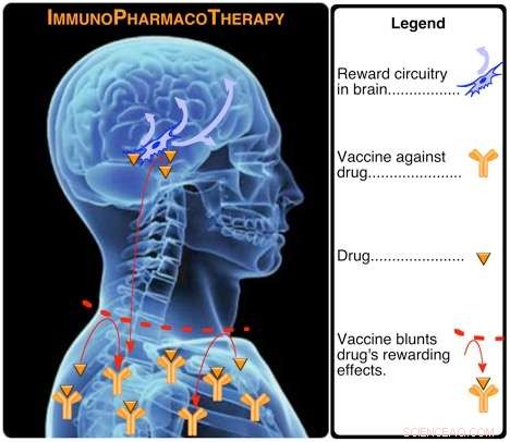 TSRI Scientists Develop Breakthrough Method to Counter Pharmacoterrorism